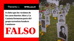 Cantuta y Barrios Altos verificación
