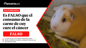 Es FALSO que el consumo de la carne de cuy cure el cáncer